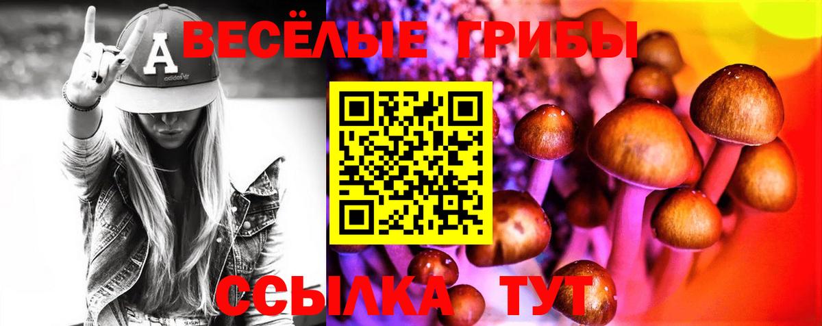 Псилоцибиновые грибы Psilocybine cubensis Наро-Фоминск
